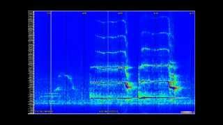 St. Louis County, MN suspected sasquatch vocals recorded 20120315