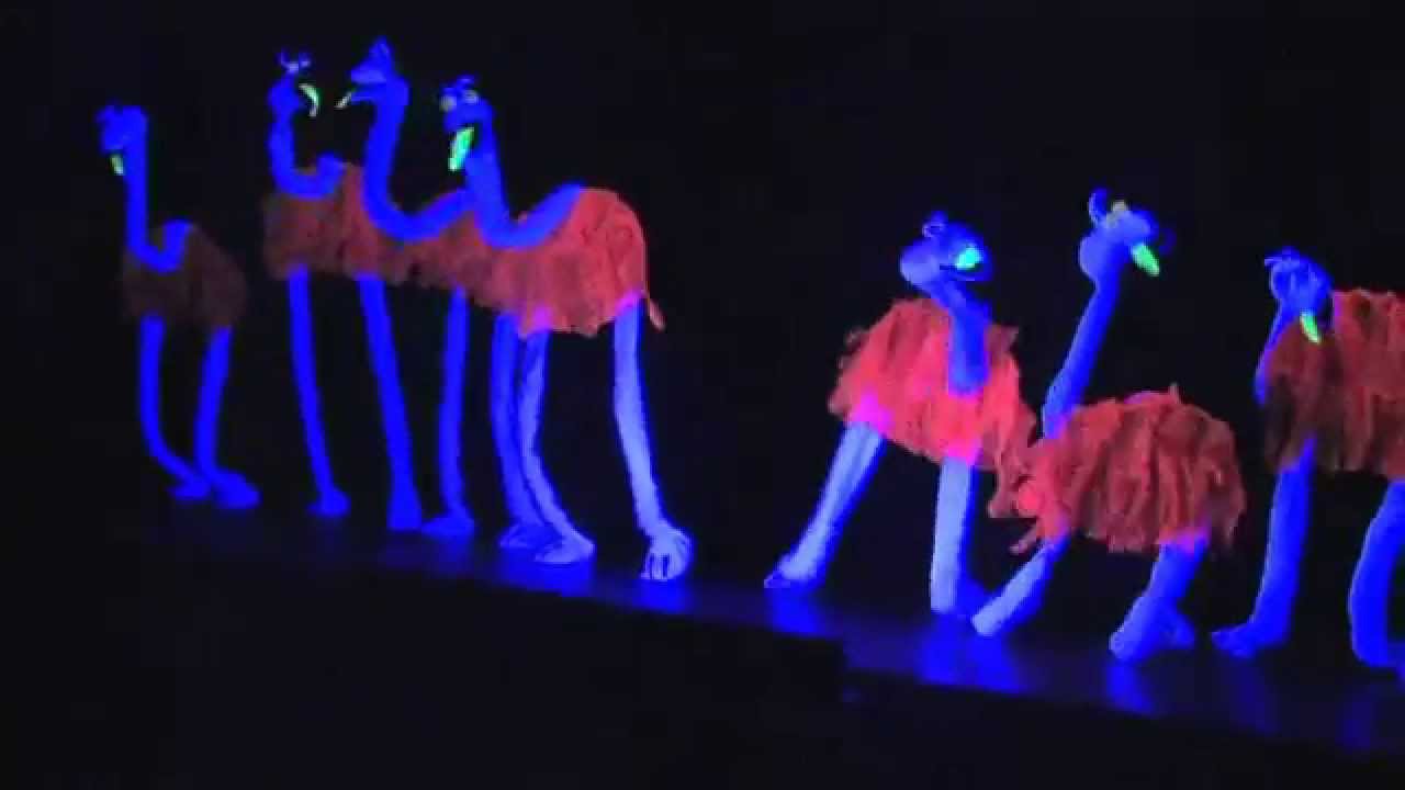 14 2 2015 Vystoupení na hasičským plese v Neplachovicích