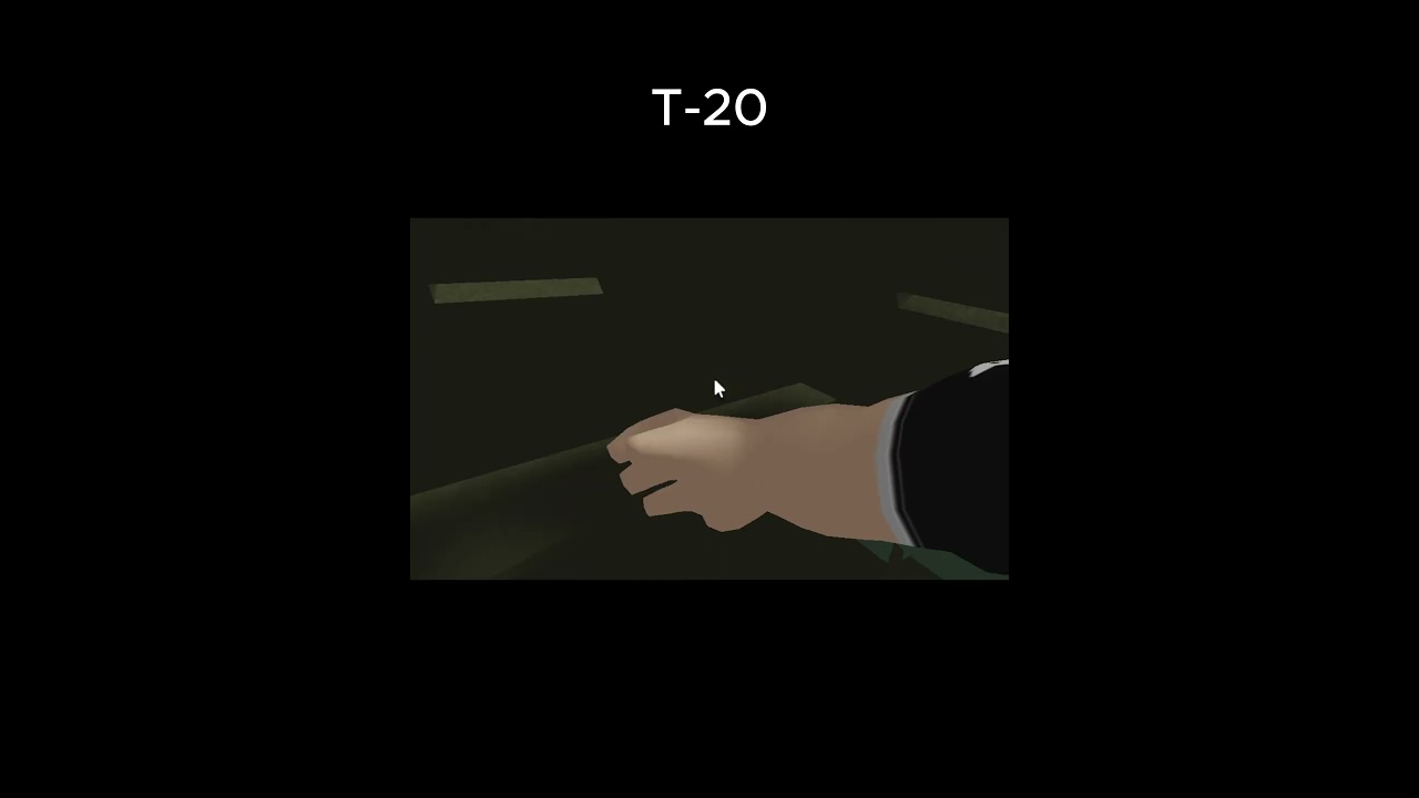 T-20 