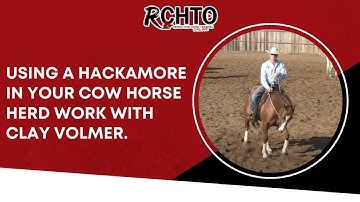 Using A Hackamore In Your Cow Horse Herd Work with Clay Volmer.
