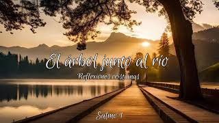 Melodia en el desierto ( video oficial ) #youtube #youtubevideo