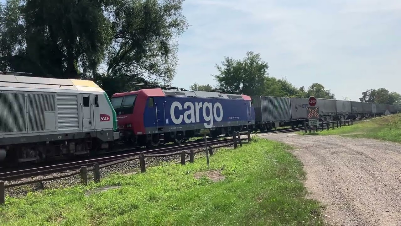 SNCF FRET 475128 schleppt SBB 482 021 bei Drusenheim (Alsace) von Strasbourg nach Wörth, 30.08.2024