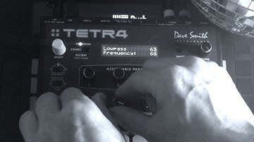 TETRA Analog Synth Bass Tweaking