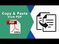 How to copy and paste from a pdf using Adobe Acrobat Pro DC