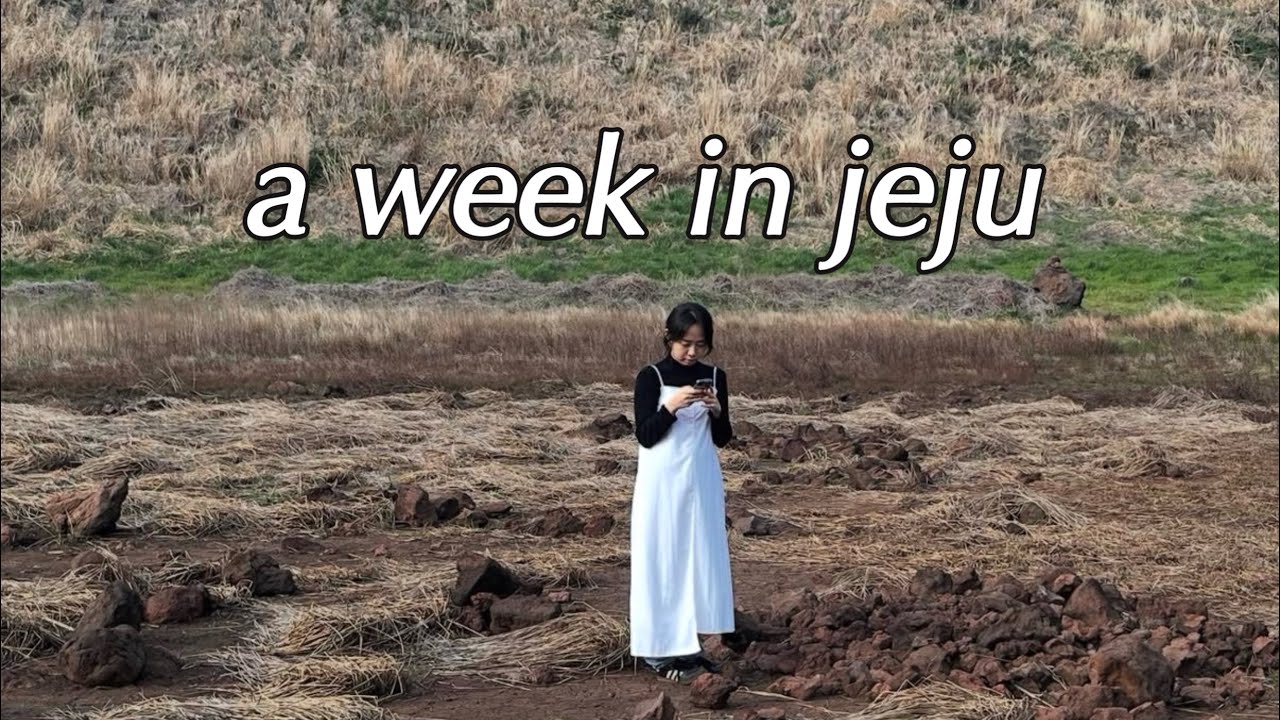 vlog. 제주도에 갇혔습니다. 일단 먹을게요.