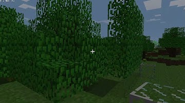 inf-320 Dancing Tree bug 7