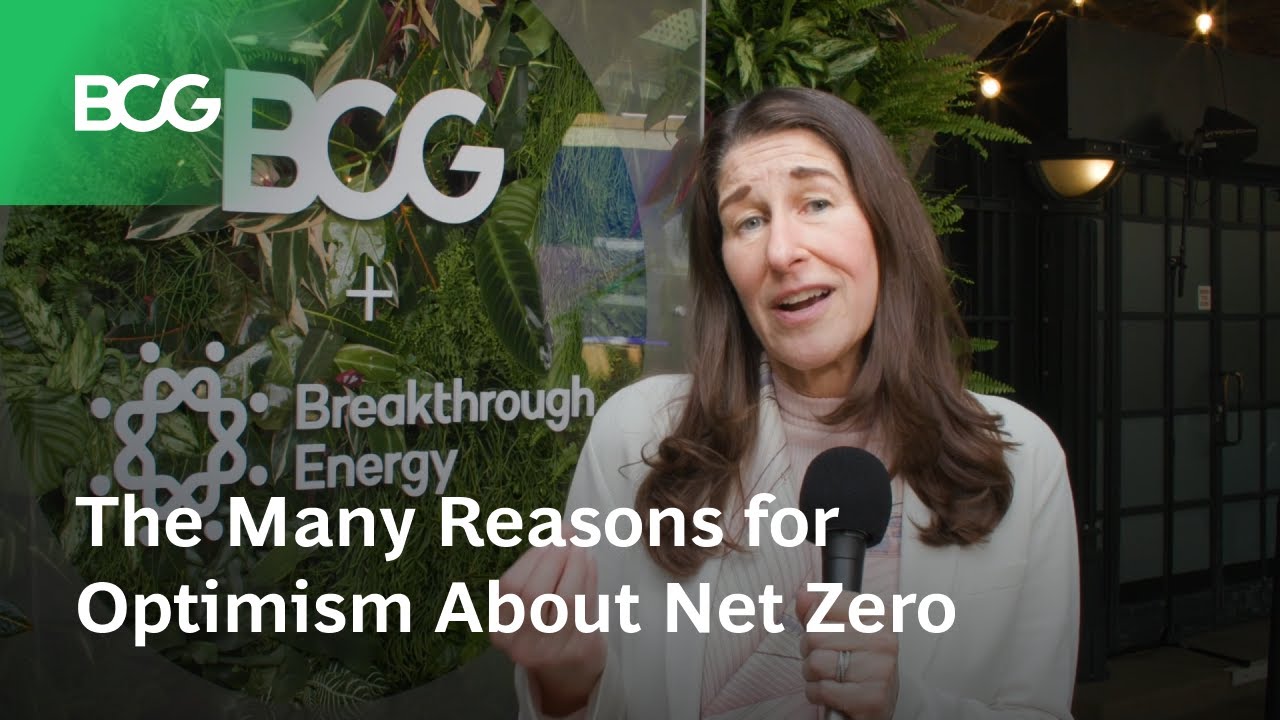 The Many Reasons for Optimism About Net Zero - YouTube