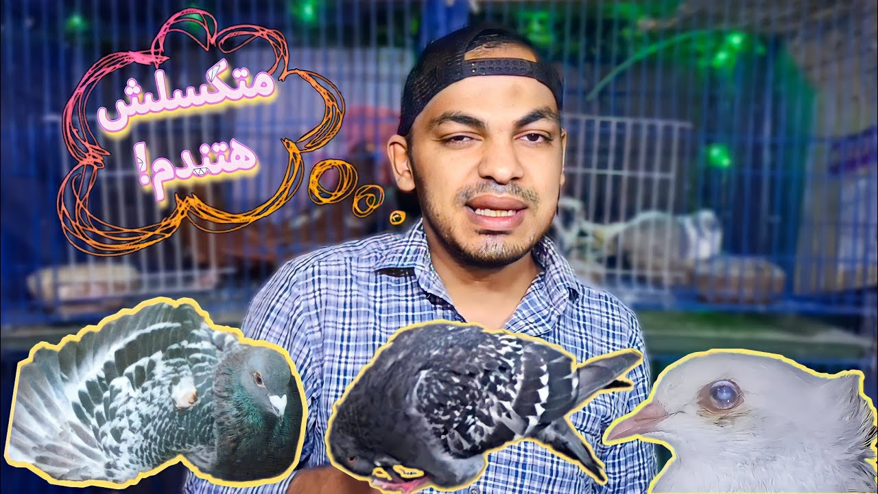 تعمل ايه لو وباء السالمونيلا انتشر عندك لا قدر الله..؟