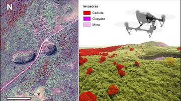Charles Darwin Foundation| Mapping of invasive plants in the humid zone of the Galapagos Islands.