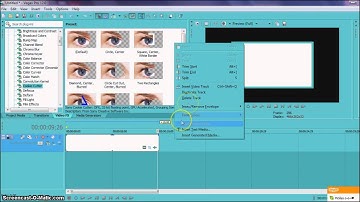 Sony Vegas Effect #22
