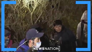Brush teams try to 'flush migrants out' in Arizona and Texas deserts  | Dan Abrams Live