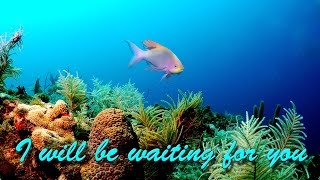 I will be right here waiting for you - Richard Marx with supar After Effect animation