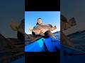 Kayak fishing in Heavy conditions pays off #kayaking #rockcod