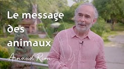 Le message des animaux - Arnaud Riou