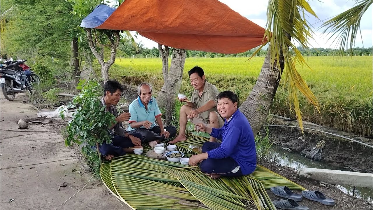 Làm Món Rắn Trun Hầm Củ Sắn Và Cua Luộc Bên Bờ Lúa Chín | Kiệt Làng Quê ...