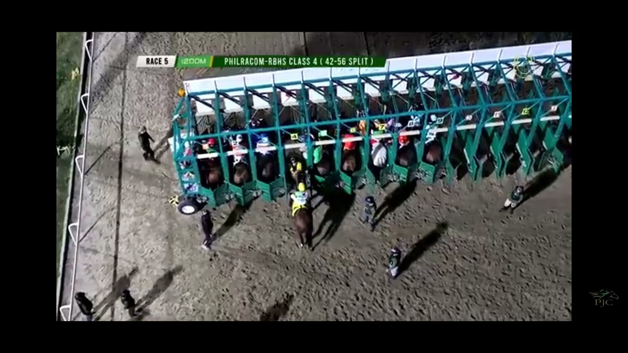 Another long shot GREY FACTOR wins the race 