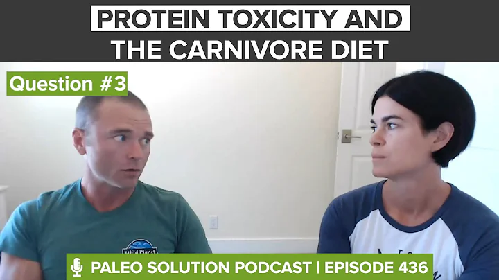 Protein Toxicity and the Carnivore Diet - Q3 - Q&A 30 - Ep 437