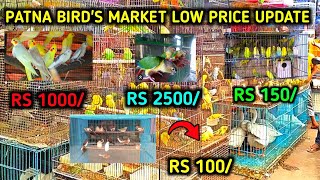 birds markit price in patna birds ki abhi kiya price h jane screenshot 4