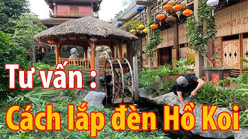 Hồ Cá Koi Đẹp: Cách chọn đèn và phối màu sao cho rực rỡ nhất