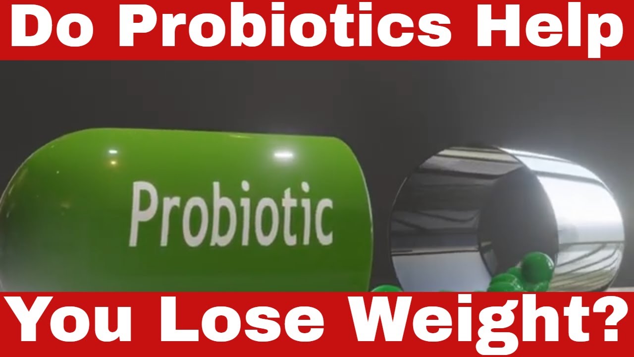 What Is The Best Probiotic For Losing Belly Fat Do Probiotics Help You Lose Weight? Do Probiotics REALLY Blast Belly