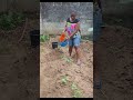 God of miracle rain wia are you? need rain for this plant to grow#goviral #funny #viral