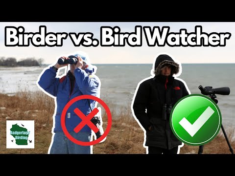 Video: Var en känd fågelskådare?
