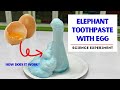 EGG FOAM EXPERIMENT | Egg Elephant Toothpaste | How does it work?