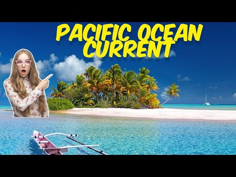 প্রশান্ত মহাসাগরীয় স্রোত সমূহ/PACIFIC OCEAN CURRENTS