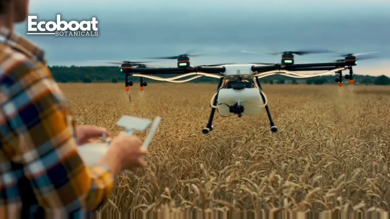 Ecoboat Botanicals: A Leading Agro Botanical Company.