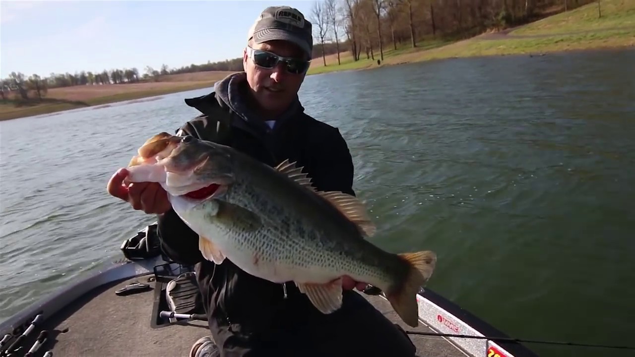 Bank Fishing with Big Swimbaits for Bass - Wired2Fish