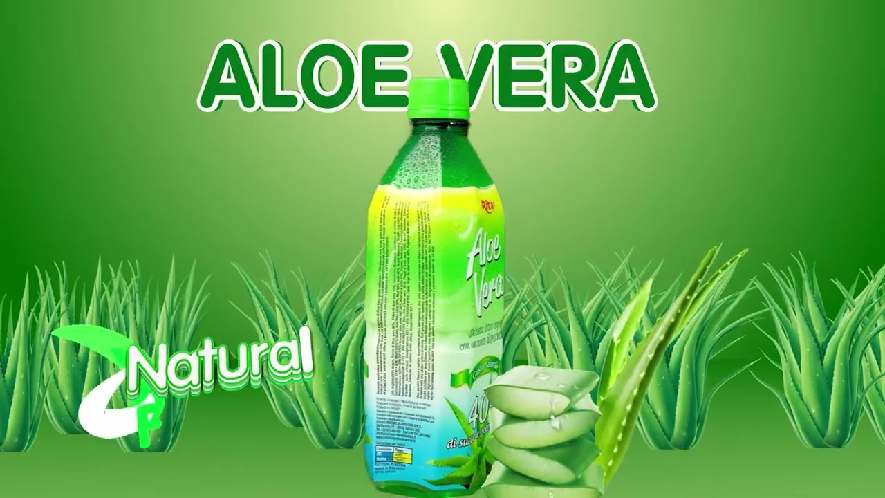 RITA Aloe Vera Juice  Fruit Flavour Own Brand Supplier | RITA  Beverage