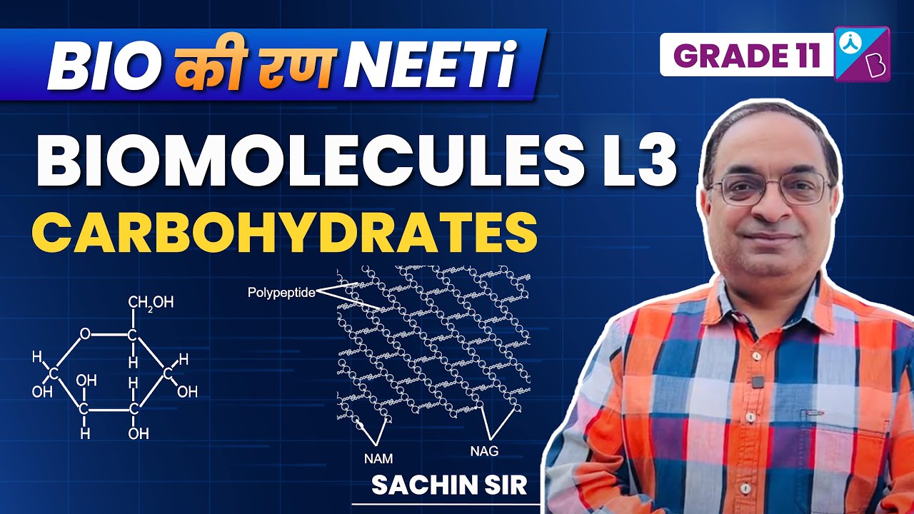 Biomolecules Class 11 Biology Carbohydrates Explained NEET 2023