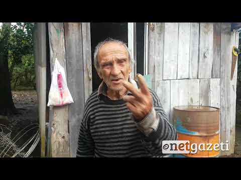 აზიური ფაროსანასგან დაზარალებული ანაკლიის მკვიდრი