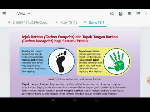 Video: 14 Tabiat Mudah Yang Akan Segera Mengurangkan Impak Anda Terhadap Alam Sekitar