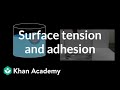 Surface Tension and Adhesion | Fluids | Physics | Khan Academy