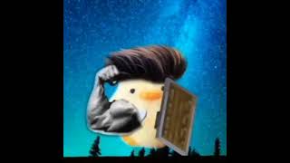 Que Pintao , Um Belo Pinto , Pinto Forte , Pinto Resistente. Meme