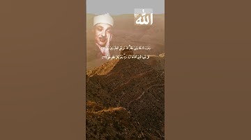 تلاوة رائعة للشيخ عبدالباسط عبدالصمد #قران_كريم #القران_الكريم #اكسبلور #لايك #quran #قرآن #الله