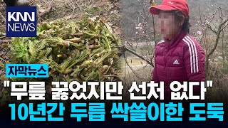 "부모님 10년 넘게 마음고생"…현장서 체포된 '두릅 도둑' / KNN