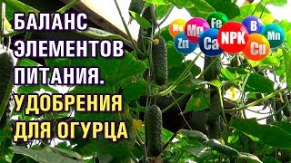 БАЛАНС ЭЛЕМЕНТОВ ПИТАНИЯ ОГУРЦОВ. УДОБРЕНИЯ ДЛЯ ОГУРЦОВ (31-05-2019)