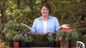 How To Plant A Window Box | Southern Living
