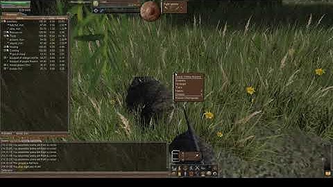 Wurm Unlimited - Tutorial/Let