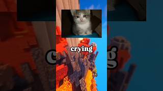 The Hidden Story Behind Every Crying Cat Meme...