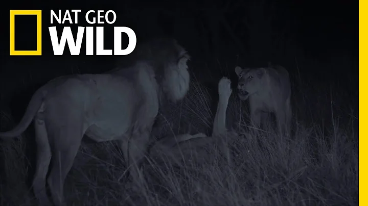 Satau Seeks Revenge | Savage Kingdom: Uprising