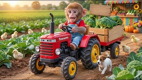 No More Bugs! 🐛🚫 Smart Monkey Uses Chickens to Guard His Cauliflower Field