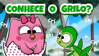 O Grilo Cri-Cri-Cri! - Episódio Completo | Bubu e as Corujinhas