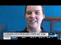 Cats and kittens found ‘near death’ in extremely hot car in Middle Tennessee