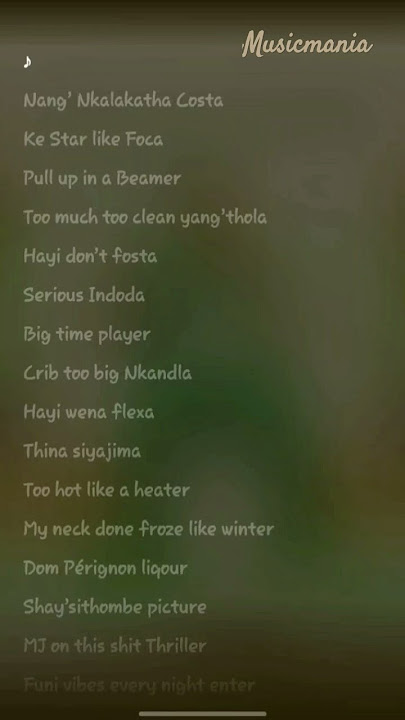 Big Flexa ( Feat Sdida , Alfa Kat, Man T & C' Buda M ) Costa Titch _Ampiano beats lyrics ♥️
