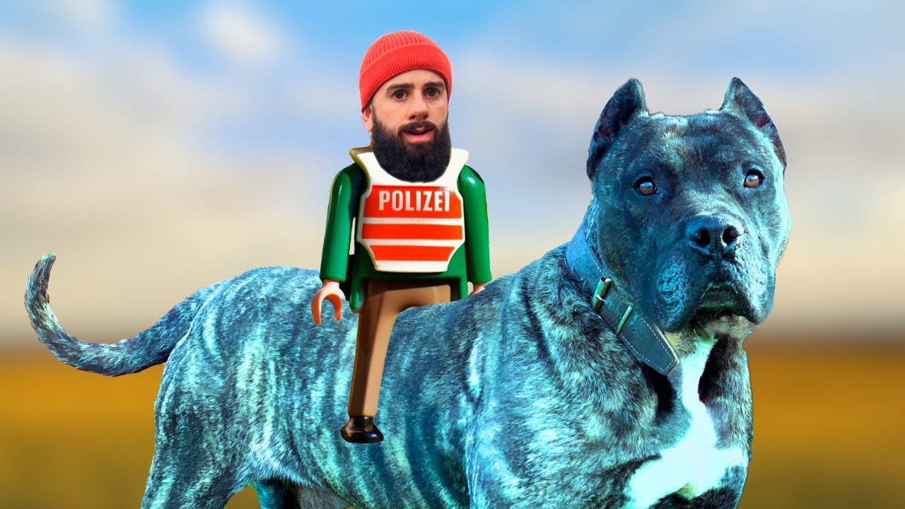 ¿PRESAS CANARIOS EXÓTICOS?