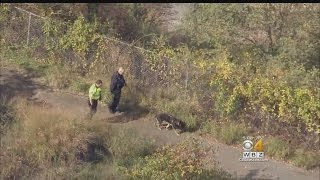 Woman Attacked While Walking On Marblehead Trail