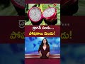 Dragon Fruit Health Benefits &amp; Nutrition | Ntv